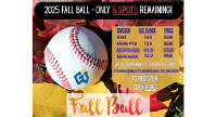Fall Ball has 5 spots remaining!!
